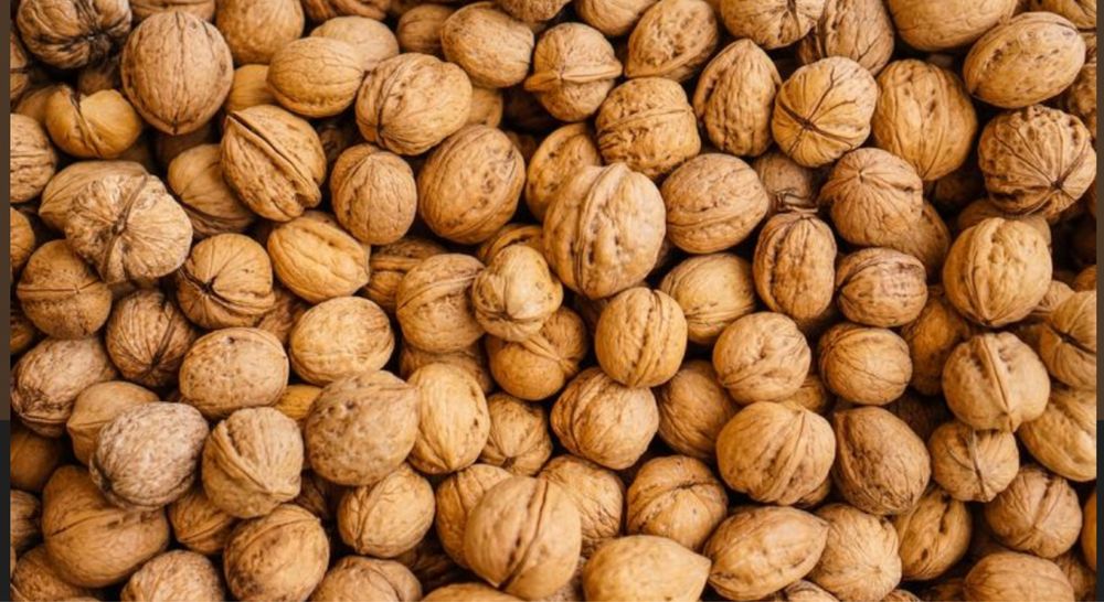 Продам горіх грецький цілий. Є 1 тона , 35 грн за 1кг