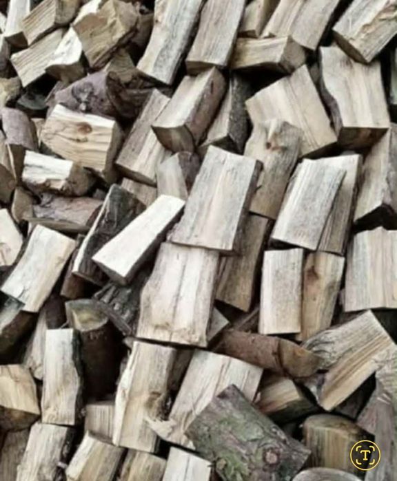 Sprzedam drzewo na opał