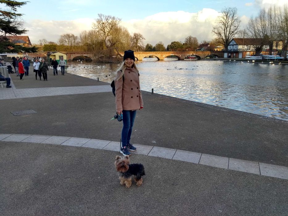 Treino de Cães / Comportamento Canino – Sessões Personalizadas