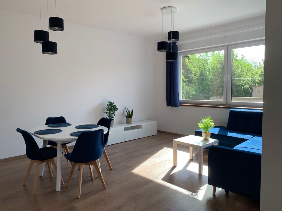 Wynajmę dwupokojowe mieszkanie w centrum