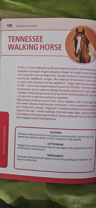 Konie rasowe- książka