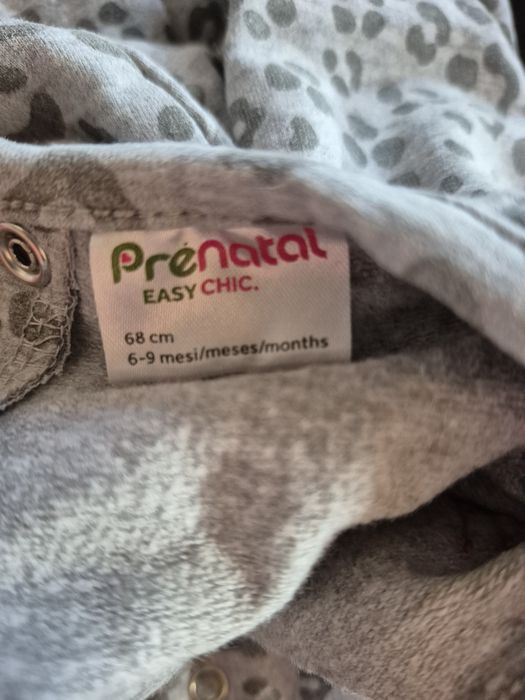Prenatal sukienka szara dresowa panterka brokat kokardka 3D 68
