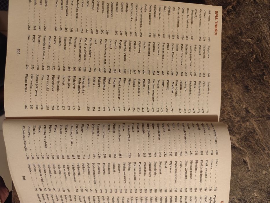 Wielka księga snów SENNIK