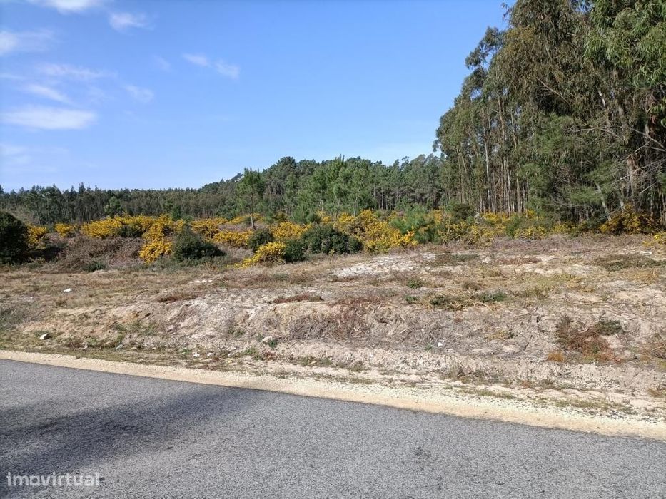 Terreno Serra do Bouro-Caldas da Rainha
