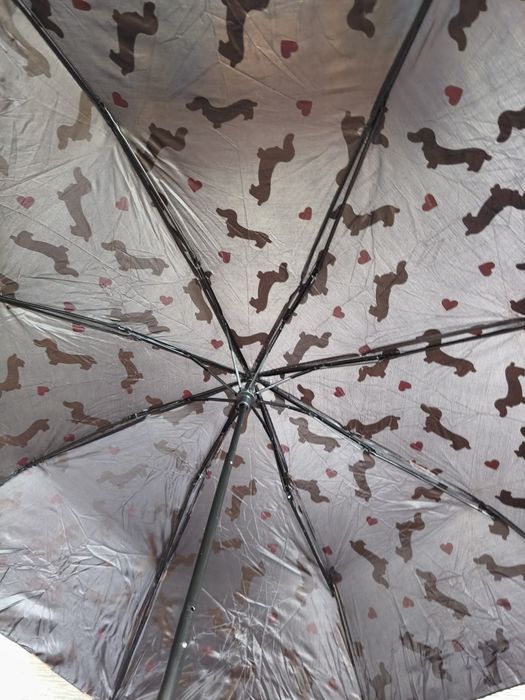 Parasol w jamniki