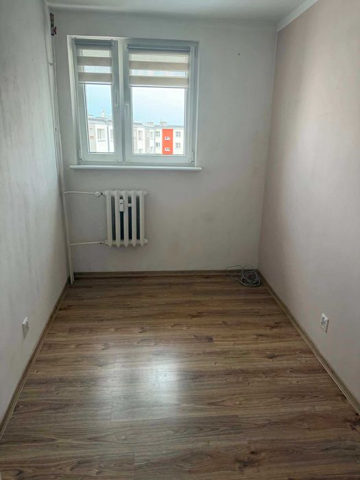 Zdjęcie 3