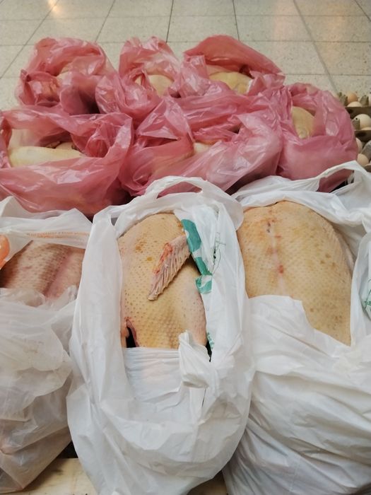 Kury kaczki tuszki na sprzedaż