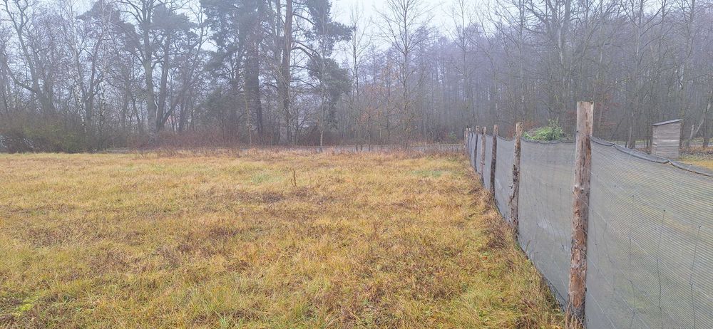 Działka Budowlana Szumiąca, Super inwestycja - Widok 5