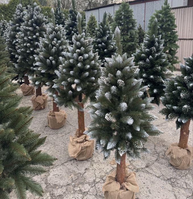 Choinki sztuczne choinki na pniu (-40%na wszystko)