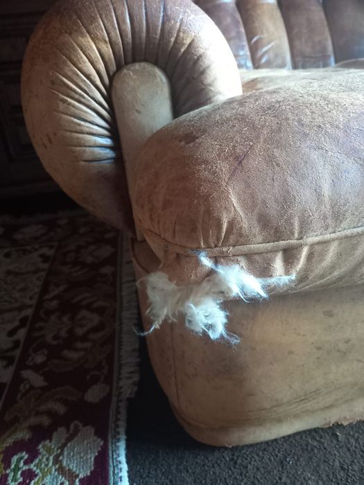 Sofàs individuais em pele (2)