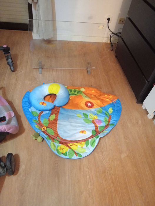 Tapete, carro com pega e bengala