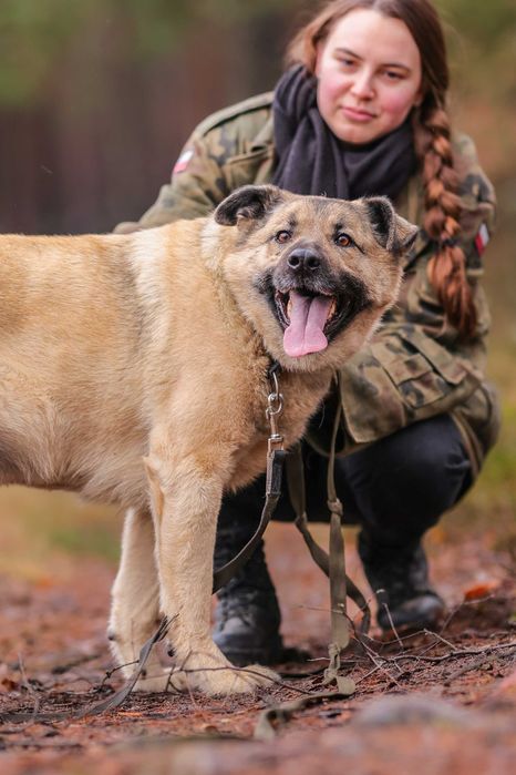 May , cudowny molos do adopcji