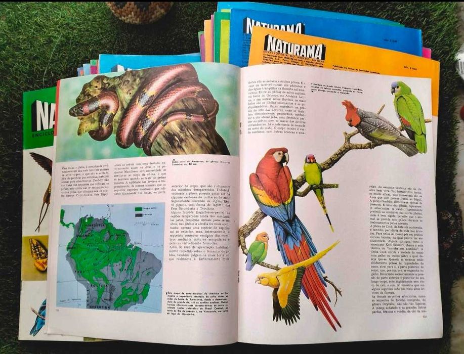 62 Fascículos da " Naturama: Enciclopédia do Mundo Animal" - anos 60