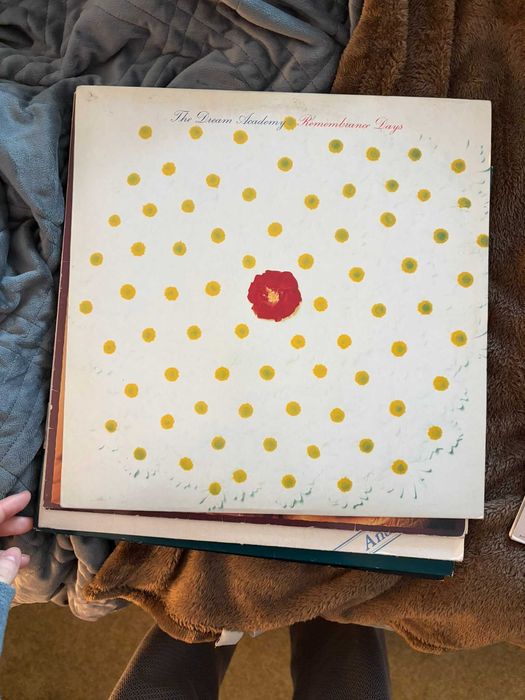 Vendo Vinis em Ótimo Estado | variados e preços negociáveis!