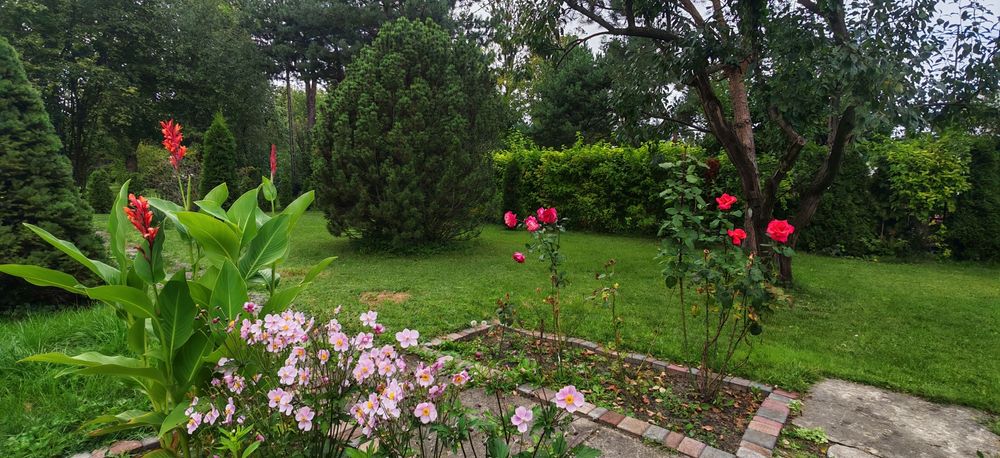 Działka ROD ul. Pryncypalna 400 m² - Widok 4