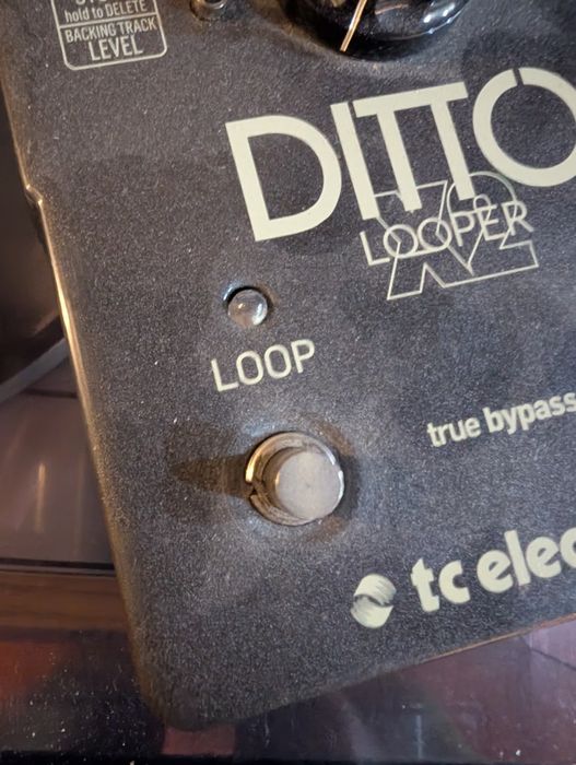 TC electronic ditto