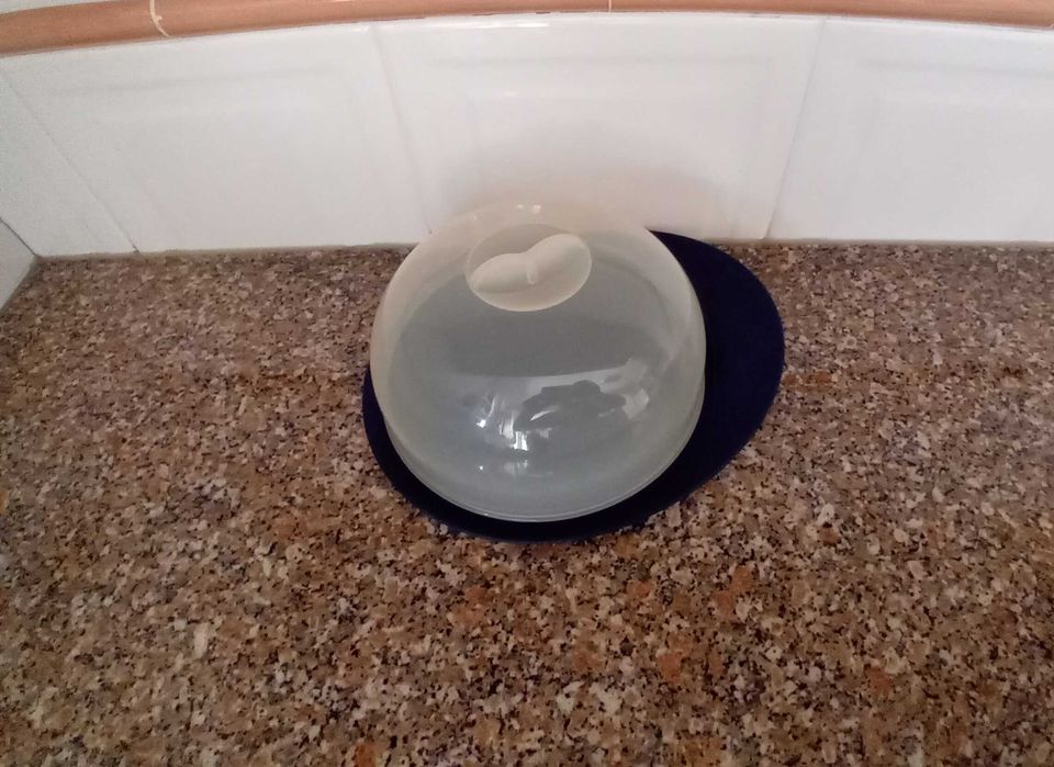 Queijeira Tupperware