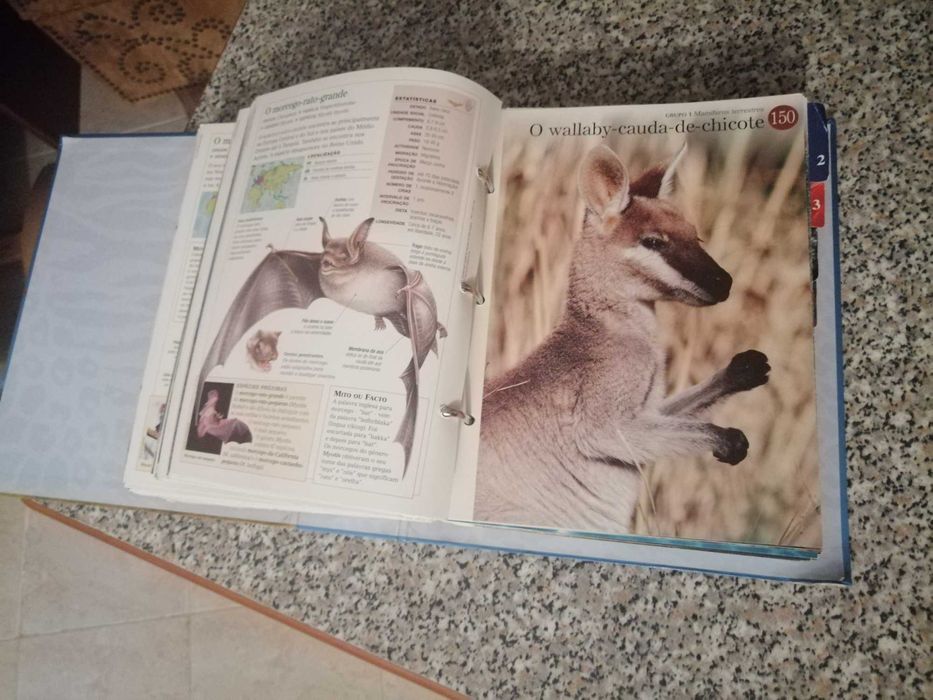 livros revistas dossiers