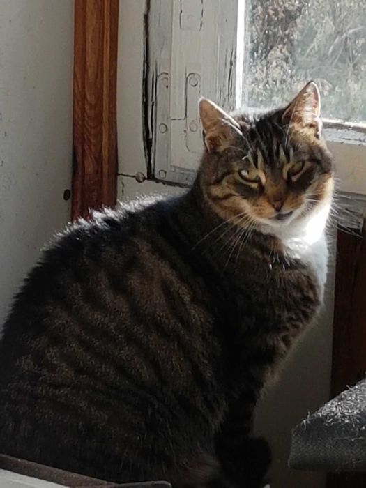 Dom pilnie poszukiwany