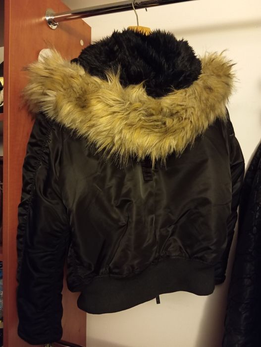 Bomberka męska Pitbull