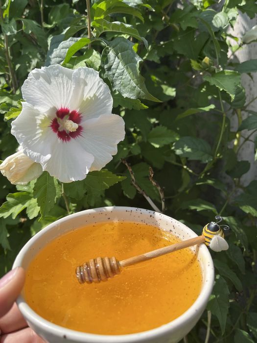 Мед 2025 року.