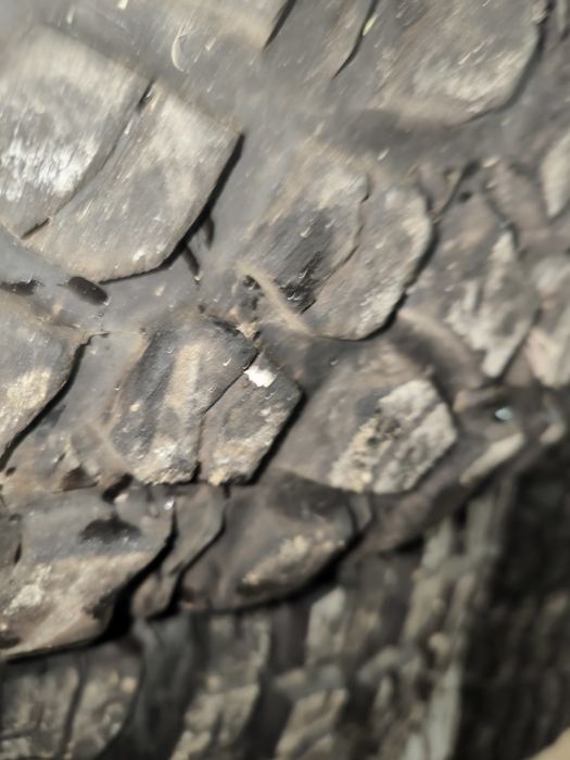 Vendo pneus 32x10r15 ou 32x10r16 ou30x10.r15 ou 255x75r15 ou 30x10r14