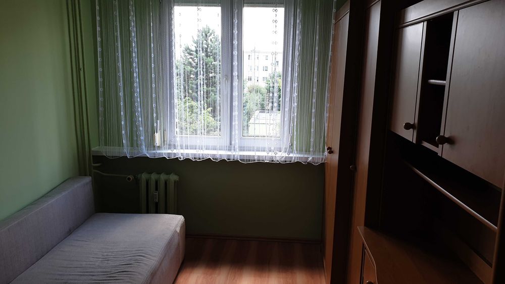 Mieszkanie do wynajęcia Bocianek