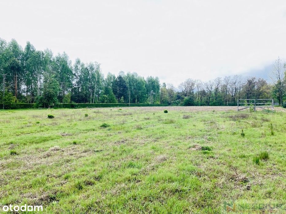 Działka budowlana – Teodorów, gm. Skórzec | 1390 m² - Widok 5
