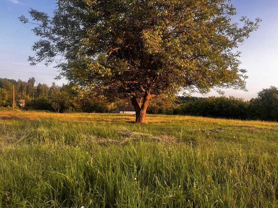 Ділянка під будівництво 10соток! В місті!