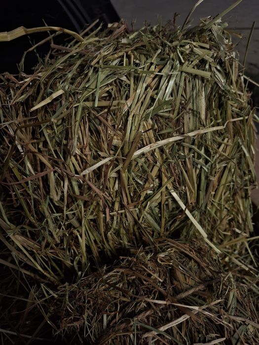 Bardzo grube I długie sianko z tymotką 6kg