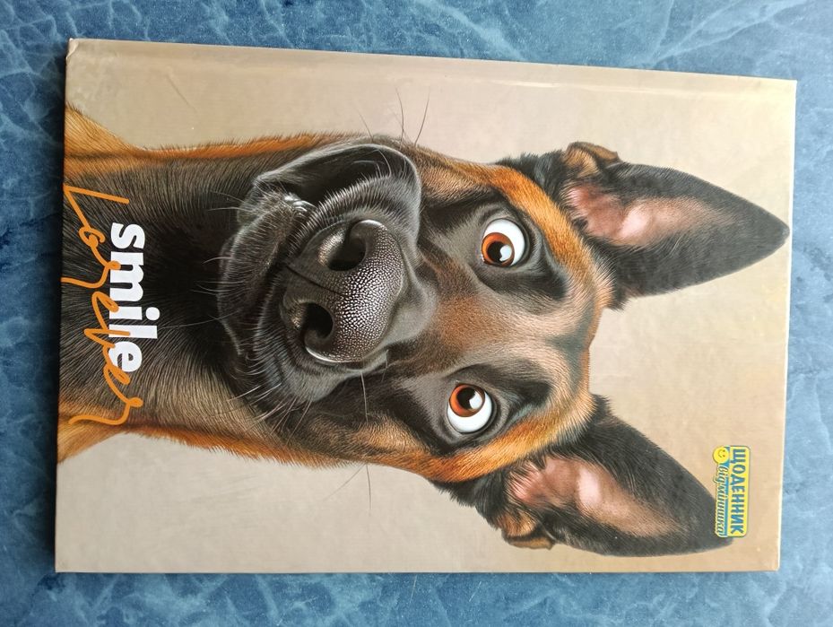 Дневники школьные