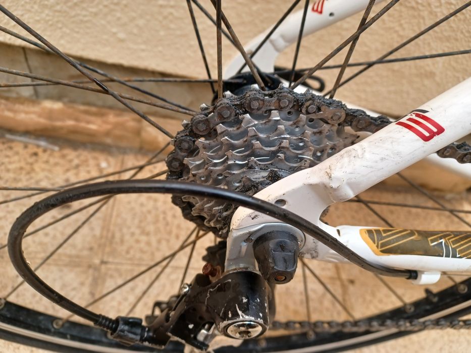 Bicicleta triban roda 25
