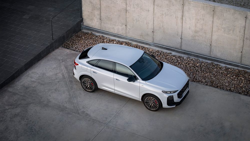 Zdjęcie w galerii numer 5