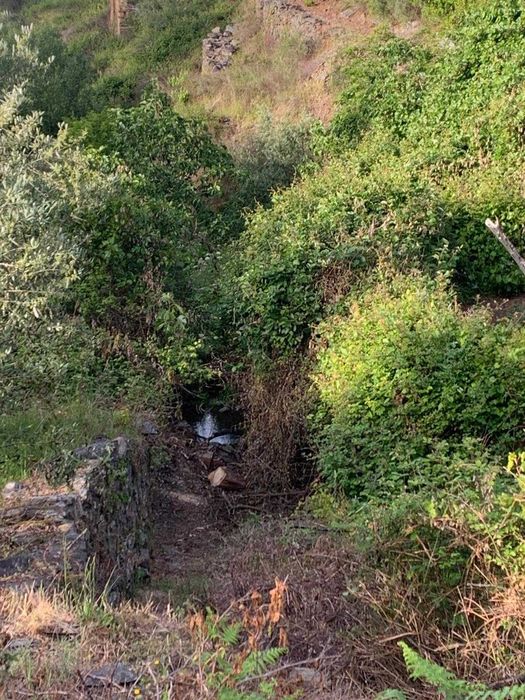 Terreno com palheiro em Ruinas