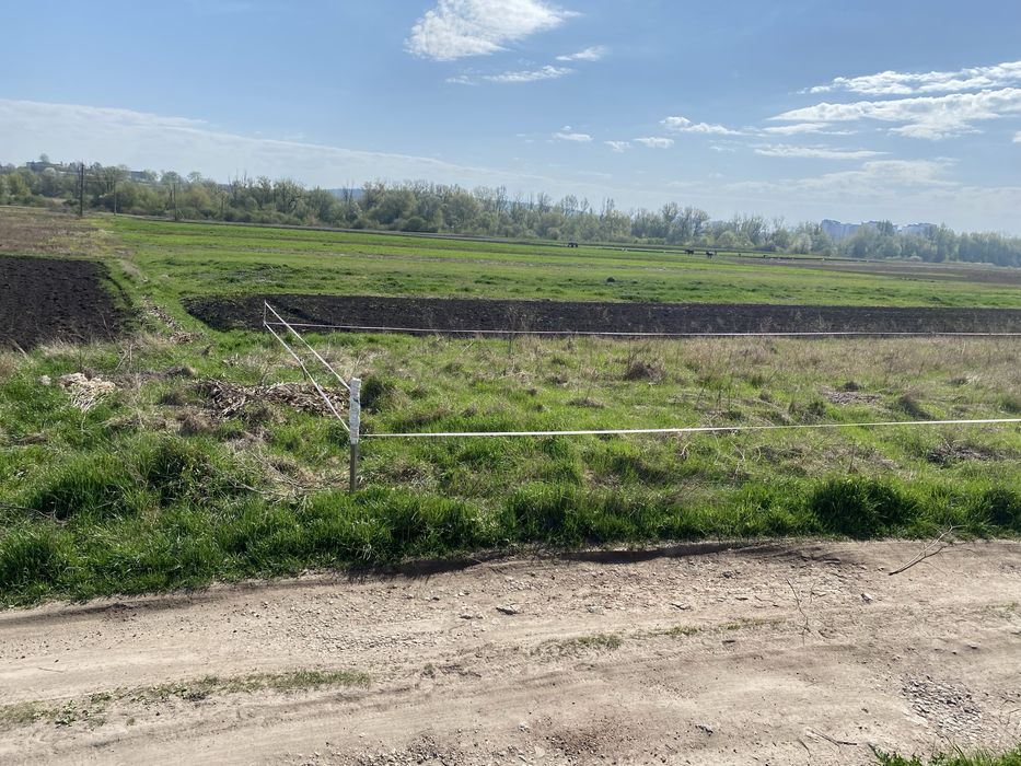 Продам земельну ділянку в Петриках