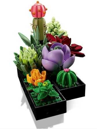 Conjunto LEGO suculentas