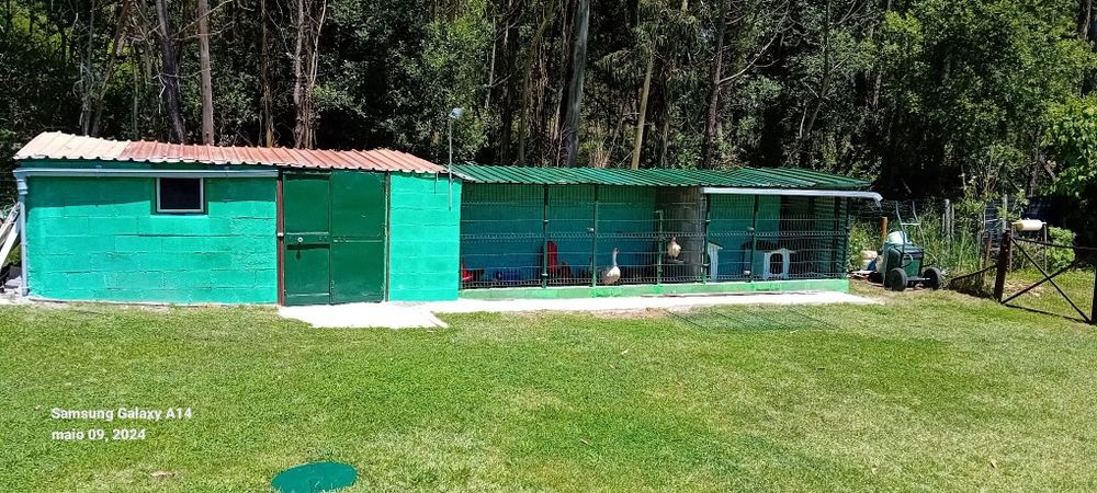 Hotel para Cães Caldas da Rainha - Sao Martinho do Porto  - Foz Arelho