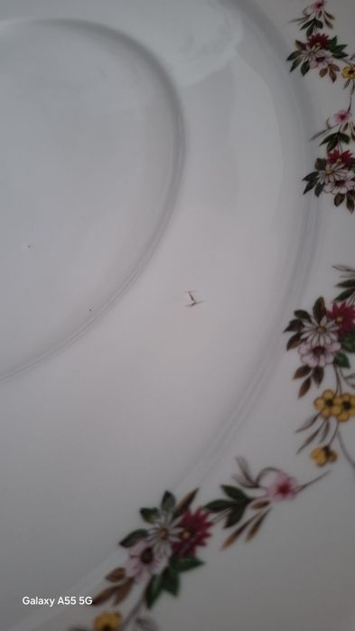 Terrina Vista Alegre