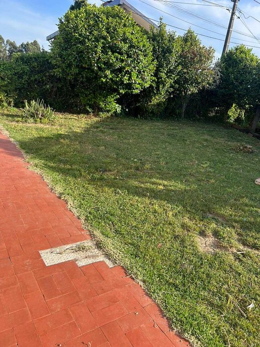 Serviços de Jardinagem e Limpeza de Terrenos