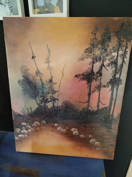 Obrazy na płótnie, zorza polarna i zachód słońca