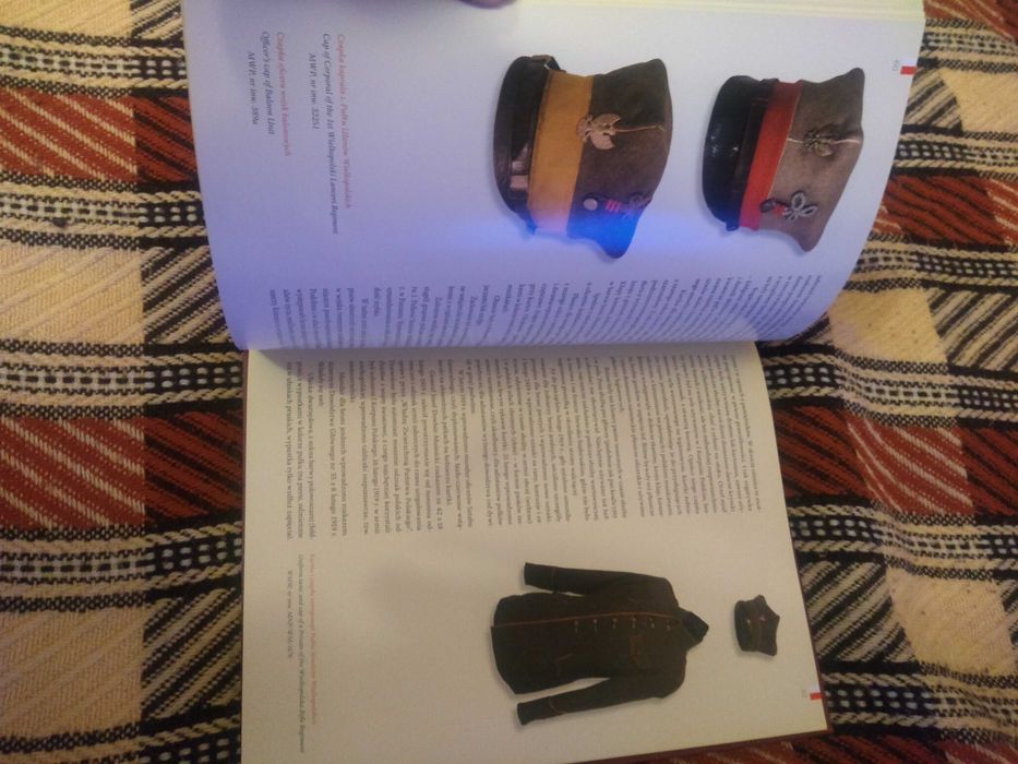 Powstanie wielkopolskie