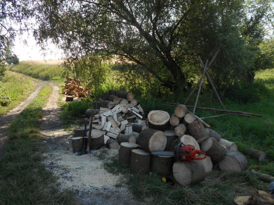 drewno drzewo opałowe żerdzie belki