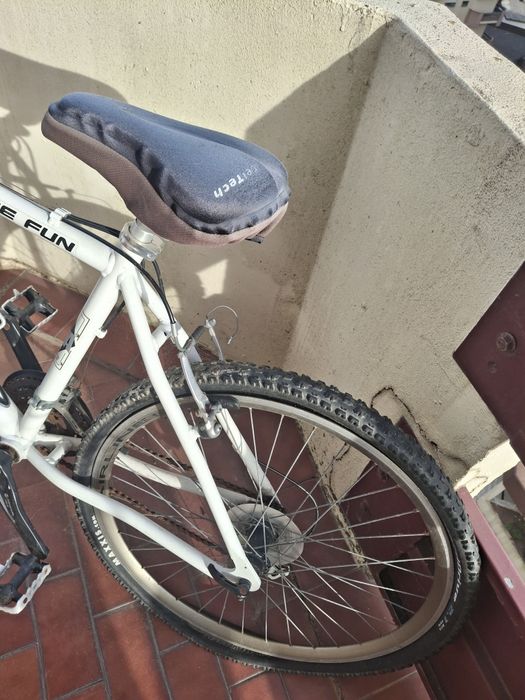 Bicicleta adulto