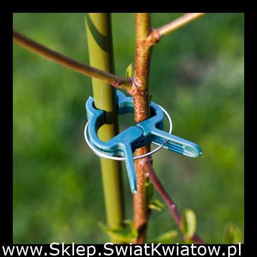 Klipsy do spinania roślin