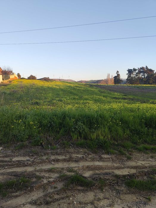 Terreno urbano para construção torres vedras