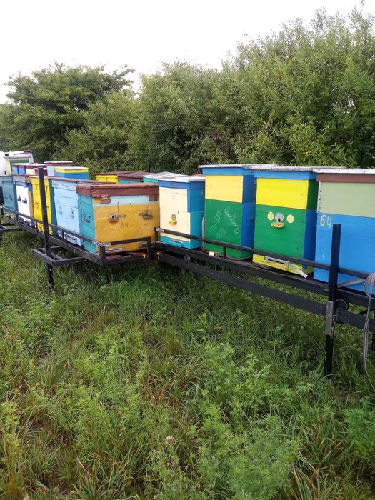 Продам причіп платформу із знімним модулем для перевезення вуликів