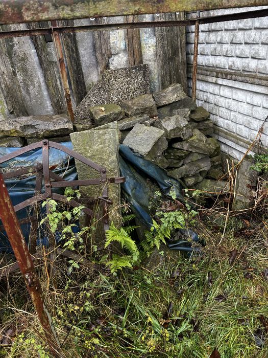 Kamienie na skalniak oddam za darmo