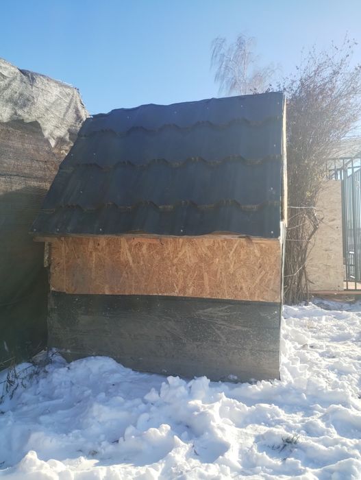 Buda dla dużego psa