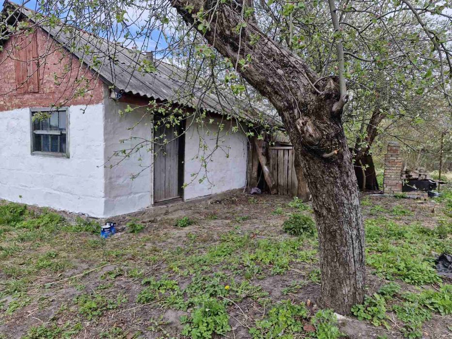 Продам 53 сотки землі у с. Федорівка Фастівський р.н Київскої обл. по ціні 350$/сотка