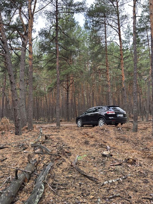 Mazda CX-9 2007 VIN JM3TB38V180122832 фото оголошення 6 з 6